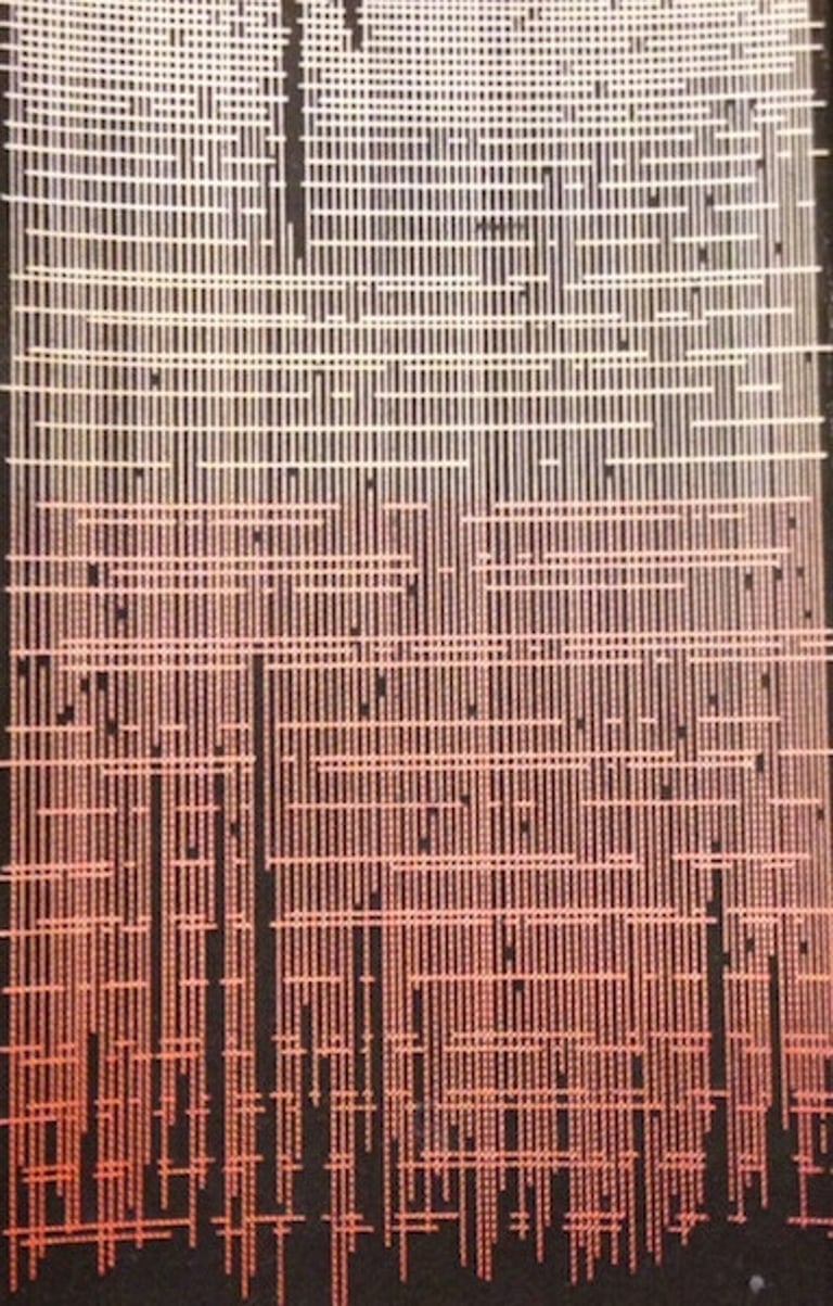 OVMN - IV CS