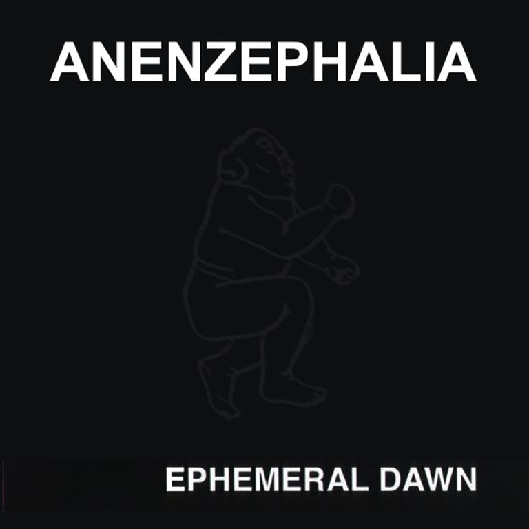Anenzephalia - Ephemeral Dawn 2xLP