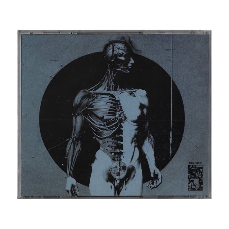 Randy Greif - Lost Contact CD