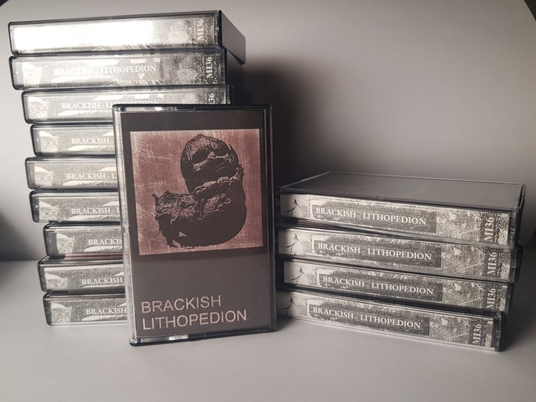 Brackish - Lithopedion CS