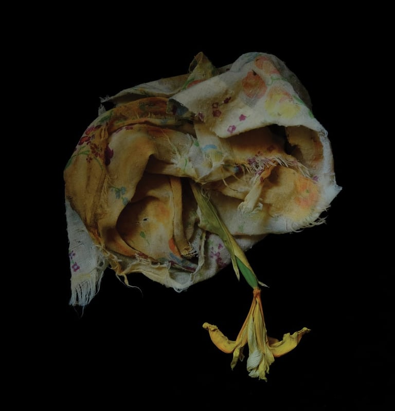 Point Of Memory - Void Pusher 2xLP