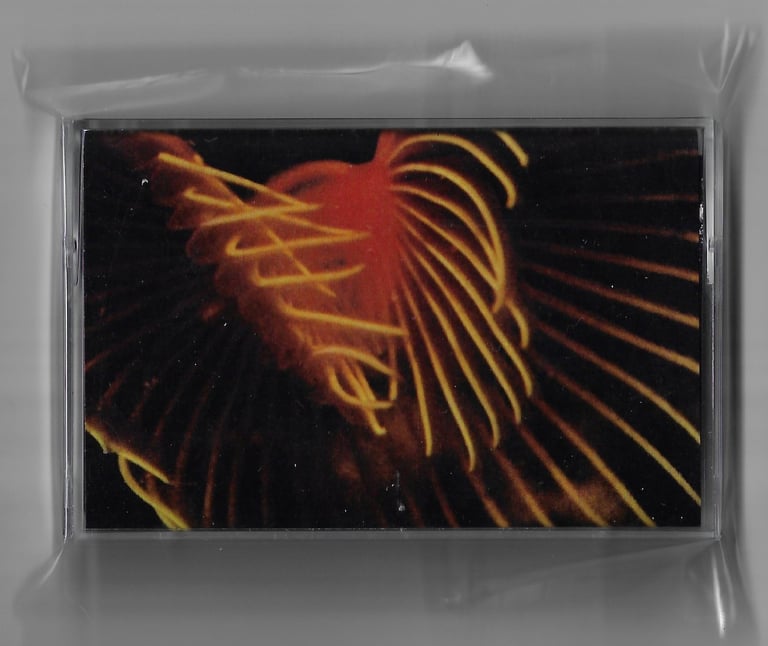 Max Julian Eastman - Jesus Love / PCP CS