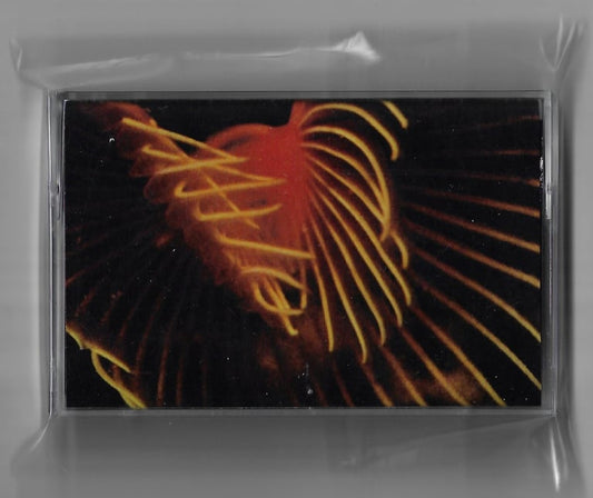 Max Julian Eastman - Jesus Love / PCP CS