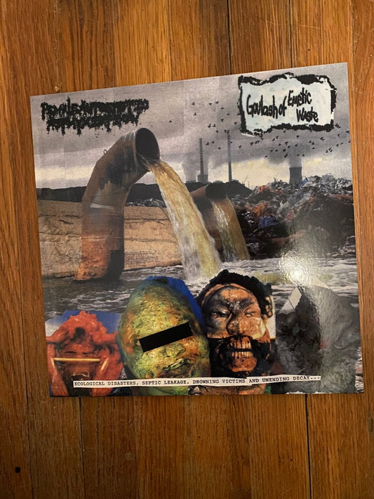 Female Autoerotic Asphyxiation / Goulash Of Emetic Waste - Split LP