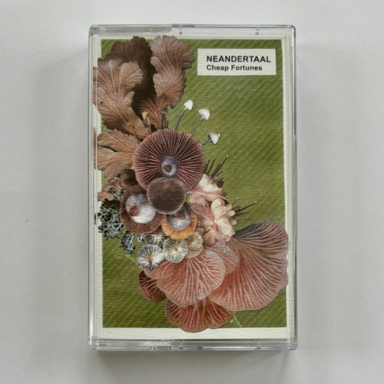 Neandertaal ‎- Cheap Fortunes CS