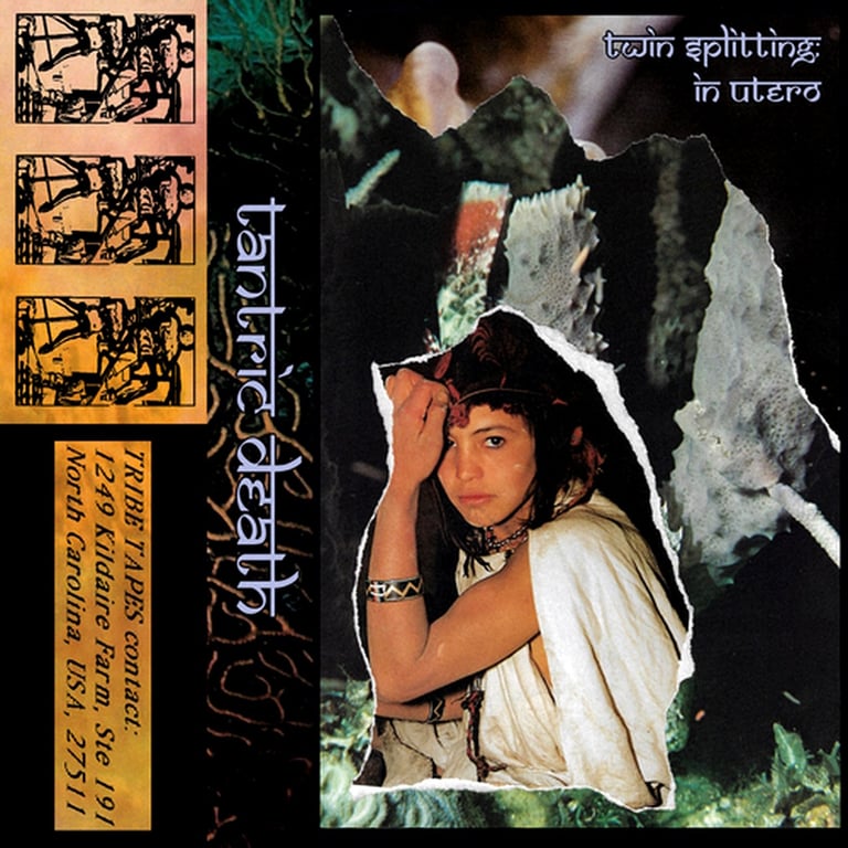Tantric Death - Twin Splitting; In Utero CS