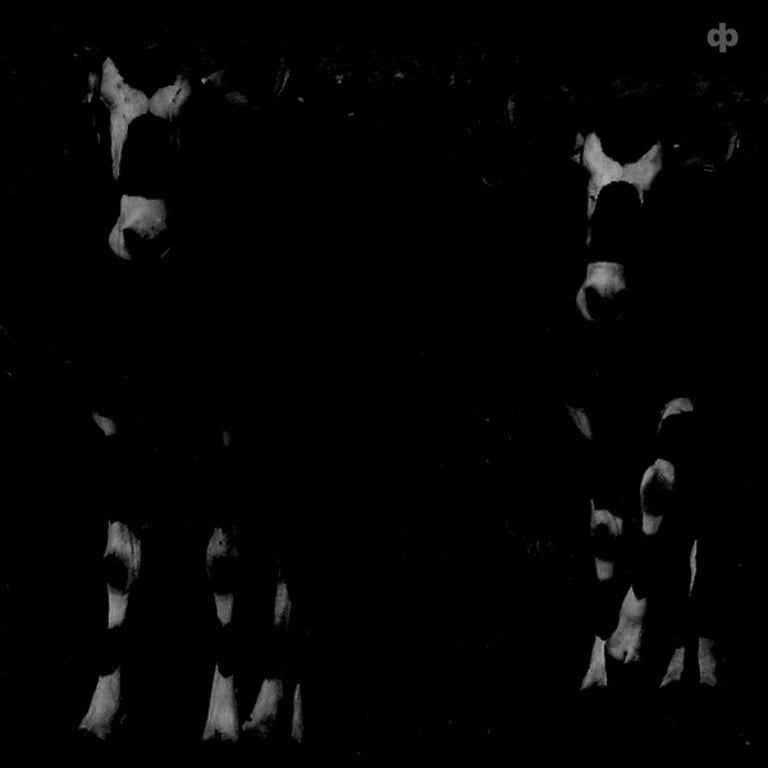 Dave Phillips - The More We Try To Manage And Control Nature… 7”