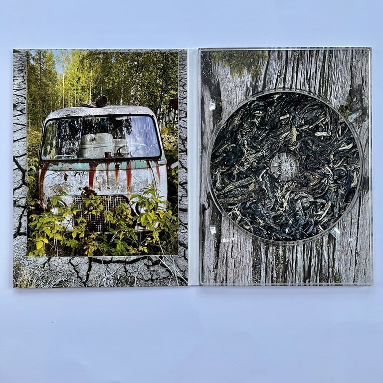 The New Boyfriends - Universal Noise CD