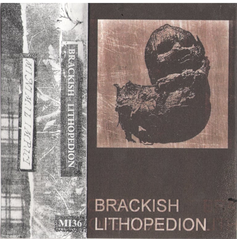 Brackish - Lithopedion CS