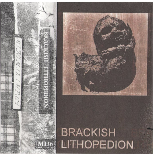 Brackish - Lithopedion CS